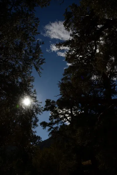 DSC_6291 (Large).JPG